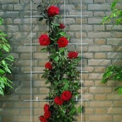 Exporteren Tuin Genoegen Winkel -Exporteren Tuin Genoegen Winkel 0fcc005a9c972cc31ea22d8c3506f61a