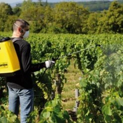 Berthoud Cosmos 18 Pro Rugspuit 18 Liter 9 Berthoud Cosmos 18 Pro Rugspuit 18 Liter -Exporteren Tuin Genoegen Winkel 3176241022150 4