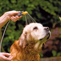 Hozelock Drukspuit 4 In 1 Tuindouche -Exporteren Tuin Genoegen Winkel 5010646051361 3