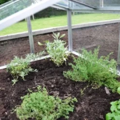 Royal Well Broeikas Jumbo 36 Royal Well Broeikas Jumbo -Exporteren Tuin Genoegen Winkel 5010697007416 17 Aangepast