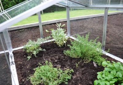 Royal Well Broeikas Jumbo 18 Royal Well Broeikas Jumbo - Afbeelding 16