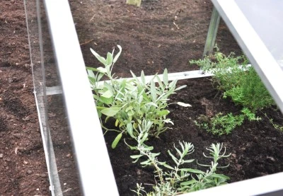 Royal Well Broeikas Jumbo 19 Royal Well Broeikas Jumbo - Afbeelding 17