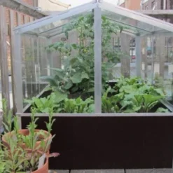 Royal Well Broeikas Jumbo 27 Royal Well Broeikas Jumbo -Exporteren Tuin Genoegen Winkel 5010697007416 7 Aangepast