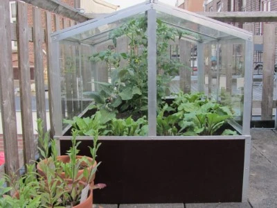 Royal Well Broeikas Jumbo 9 Royal Well Broeikas Jumbo - Afbeelding 7