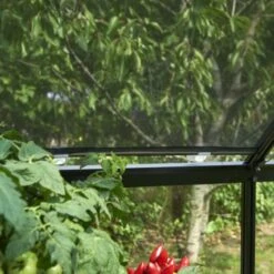 Eden Rolscherm 59 X 190 Cm Set A 2 14 Eden Rolscherm 59 X 190 Cm Set A 2 -Exporteren Tuin Genoegen Winkel 5034223051193 4 Aangepast