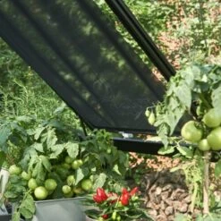 Eden Rolscherm 59 X 190 Cm Set A 2 15 Eden Rolscherm 59 X 190 Cm Set A 2 -Exporteren Tuin Genoegen Winkel 5034223051193 5 Aangepast