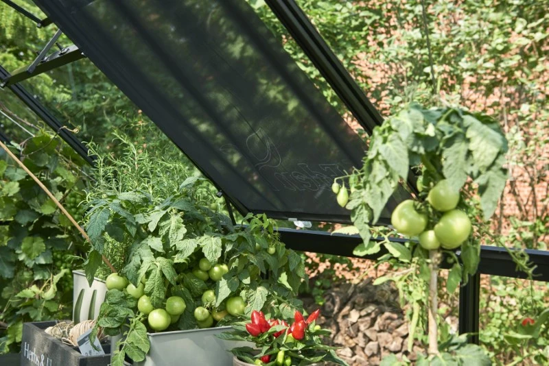 Eden Rolscherm 59 X 190 Cm Set A 2 7 Eden Rolscherm 59 X 190 Cm Set A 2 - Afbeelding 5