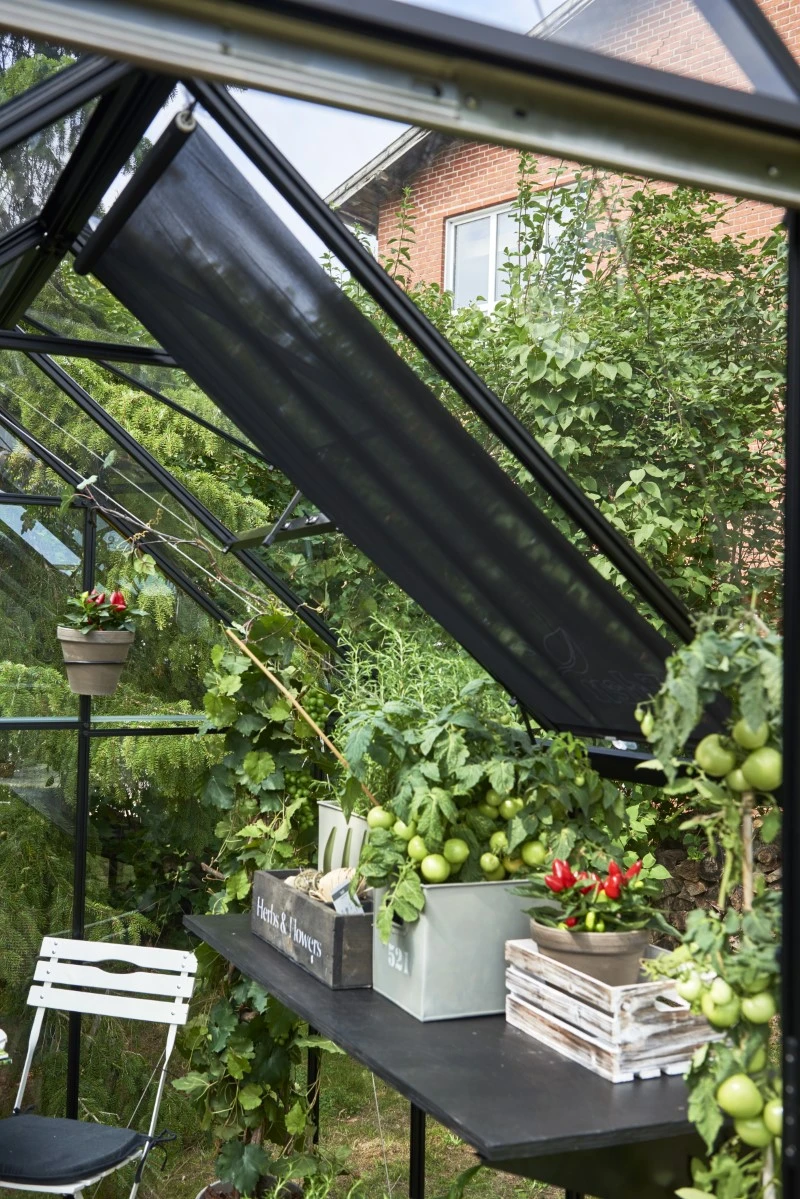 Eden Rolscherm 59 X 190 Cm Set A 2 8 Eden Rolscherm 59 X 190 Cm Set A 2 - Afbeelding 6