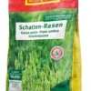 Wolf-Garten Wolf Garten Graszaad Voor Schaduwgras 10 Kg SCR 500 2 Wolf-Garten Wolf Garten Graszaad Voor Schaduwgras 10 Kg SCR 500 -Exporteren Tuin Genoegen Winkel 780c764edeabc9c67cd4362c79c08c3d