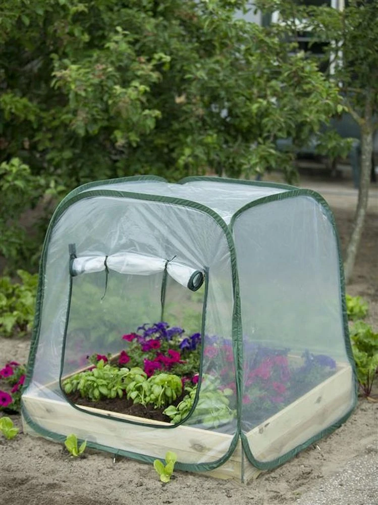 Nature Tuinkas Pop-Up H100 X 100 X 100 Cm 4 Nature Tuinkas Pop-Up H100 X 100 X 100 Cm - Afbeelding 2