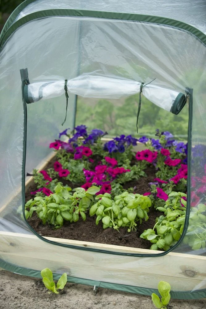 Nature Tuinkas Pop-Up H100 X 100 X 100 Cm 5 Nature Tuinkas Pop-Up H100 X 100 X 100 Cm - Afbeelding 3