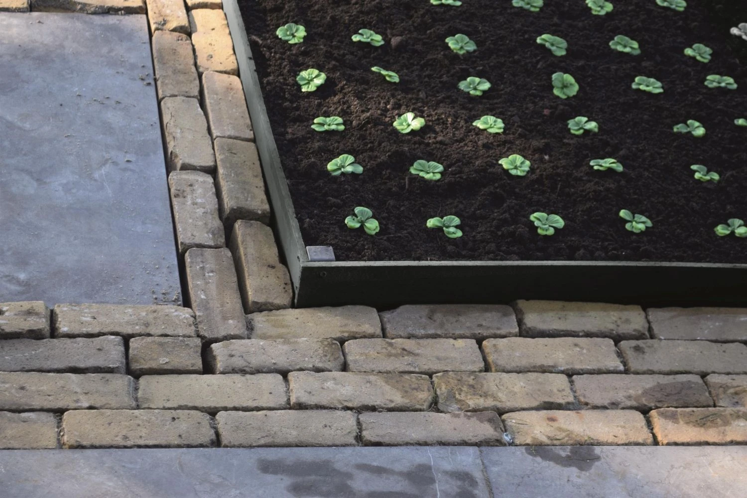 Nature Borderrand Zwart 7mm H14cmx10m 6 Nature Borderrand Zwart 7mm H14cmx10m - Afbeelding 4