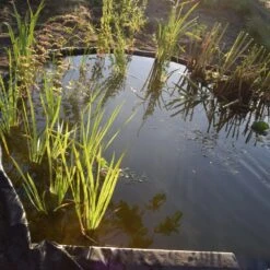 Nature Borderrand Zwart 7mm H19cm X 15m 12 Nature Borderrand Zwart 7mm H19cm X 15m -Exporteren Tuin Genoegen Winkel 8711465301015 3