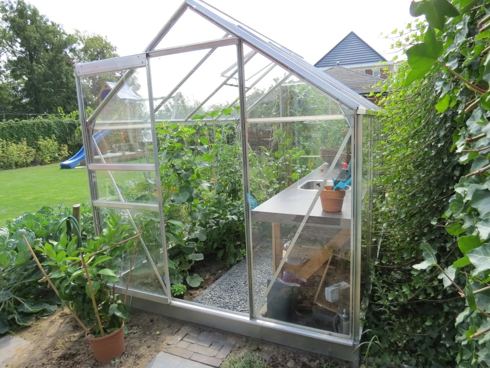 Royal Well Tuinkas Popular 86 Blank Tuindersglas 3mm 6 Royal Well Tuinkas Popular 86 Blank Tuindersglas 3mm - Afbeelding 4