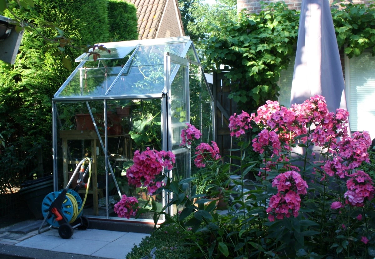 Royal Well Tuinkas Popular 46 Blank Veiligheidsglas 3mm 5 Royal Well Tuinkas Popular 46 Blank Veiligheidsglas 3mm - Afbeelding 3