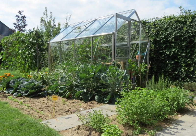 Royal Well Tuinkas Popular 86 Blank Veiligheidsglas 3mm 6 Royal Well Tuinkas Popular 86 Blank Veiligheidsglas 3mm - Afbeelding 4