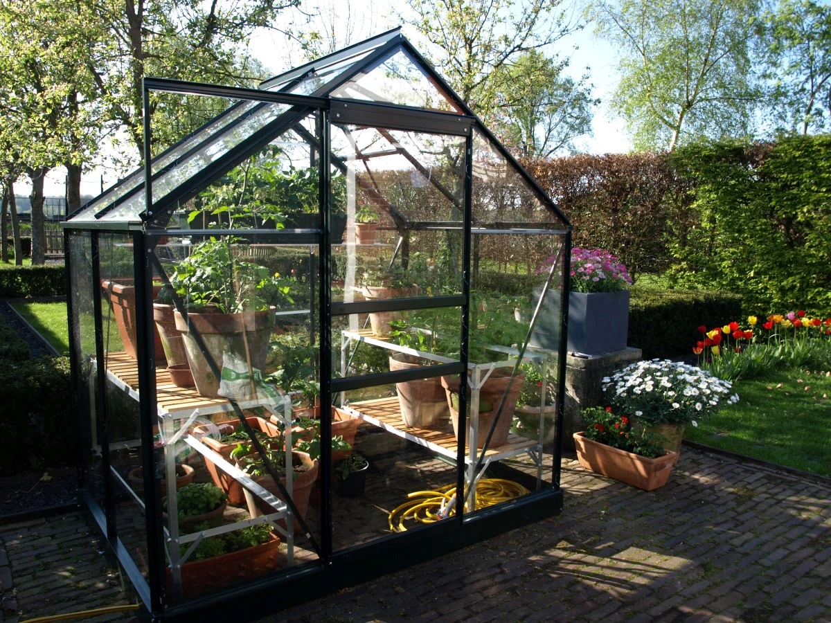 Royal Well Tuinkas En Fundering Popular 46 Groen Gecoat Veiligheidsglas 3mm 4 Royal Well Tuinkas En Fundering Popular 46 Groen Gecoat Veiligheidsglas 3mm - Afbeelding 2