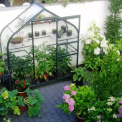 Royal Well Muurkas Supreme Incl. Fundering Groen -Exporteren Tuin Genoegen Winkel 8718215760993 4 Aangepast