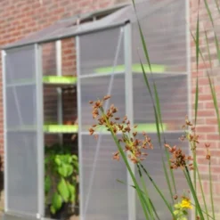 Royal Well Muurkas Mini 3 -Exporteren Tuin Genoegen Winkel 8718215761136 9 Aangepast