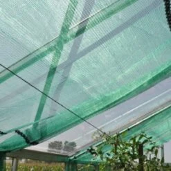 Royal Well Schermgaas 300 Cm Breed Groen