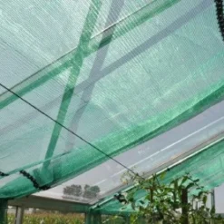 Royal Well Schermgaas 400 Cm Breed Groen