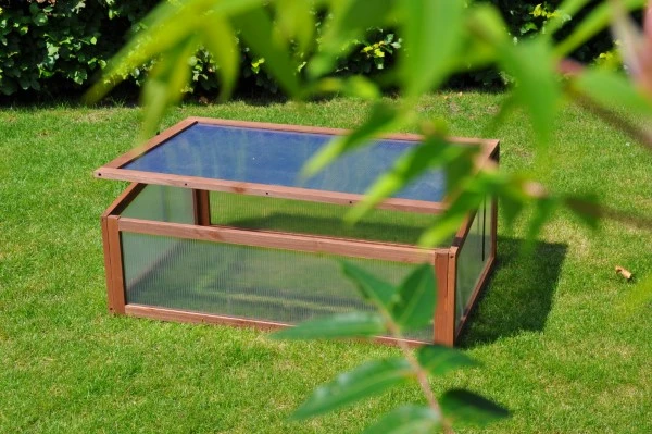 Royal Well Broeikas Sweet Tomato 6 Royal Well Broeikas Sweet Tomato - Afbeelding 4