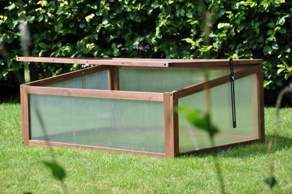 Royal Well Broeikas Sweet Tomato 7 Royal Well Broeikas Sweet Tomato - Afbeelding 5