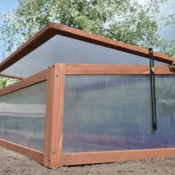 Royal Well Broeikas Sweet Tomato 20 Royal Well Broeikas Sweet Tomato -Exporteren Tuin Genoegen Winkel 8718226337429 8 Aangepast 1