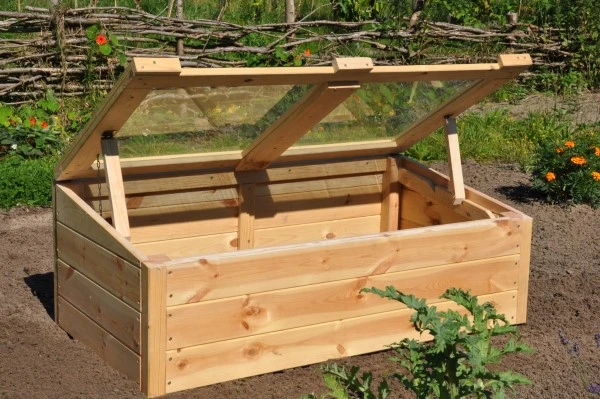 Royal Well Broeikas Strawberry Queen 4 Royal Well Broeikas Strawberry Queen - Afbeelding 2