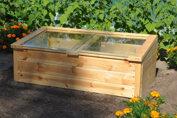 Royal Well Broeikas Strawberry Queen 5 Royal Well Broeikas Strawberry Queen - Afbeelding 3