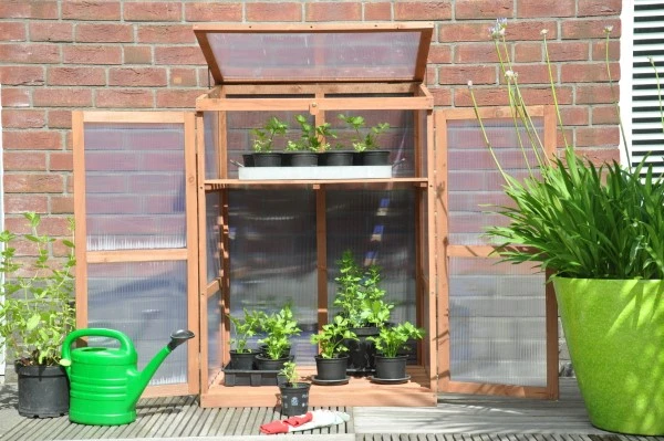 Royal Well Patiokas Rosemary's Choice 13 Royal Well Patiokas Rosemary's Choice - Afbeelding 11