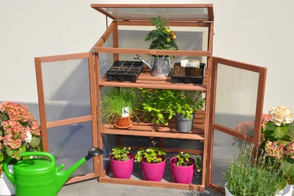 Royal Well Patiokas Rosemary's Choice 9 Royal Well Patiokas Rosemary's Choice - Afbeelding 7