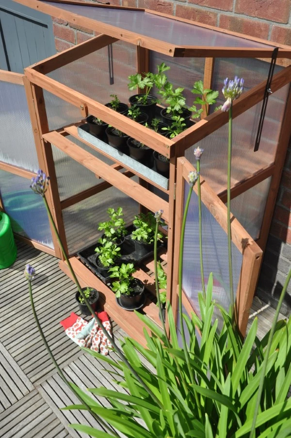 Royal Well Patiokas Rosemary's Choice 10 Royal Well Patiokas Rosemary's Choice - Afbeelding 8