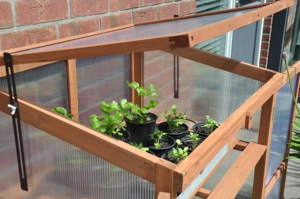 Royal Well Patiokas Rosemary's Choice 11 Royal Well Patiokas Rosemary's Choice - Afbeelding 9