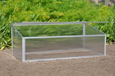 Royal Well Broeikas Viola 4 Royal Well Broeikas Viola - Afbeelding 2