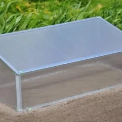 Royal Well Broeikas Viola 33 Royal Well Broeikas Viola -Exporteren Tuin Genoegen Winkel 8718226338075 16 Aangepast