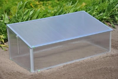 Royal Well Broeikas Viola 18 Royal Well Broeikas Viola - Afbeelding 16