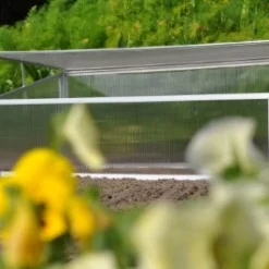 Royal Well Broeikas Viola 21 Royal Well Broeikas Viola -Exporteren Tuin Genoegen Winkel 8718226338075 4 Aangepast