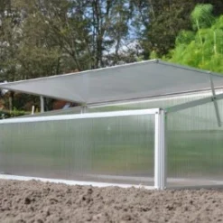 Royal Well Broeikas Viola 22 Royal Well Broeikas Viola -Exporteren Tuin Genoegen Winkel 8718226338075 5 Aangepast