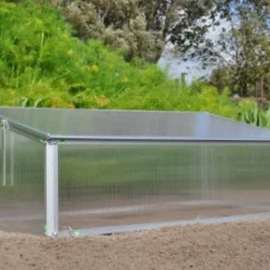 Royal Well Broeikas Viola 25 Royal Well Broeikas Viola -Exporteren Tuin Genoegen Winkel 8718226338075 8 Aangepast