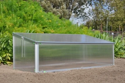 Royal Well Broeikas Viola 10 Royal Well Broeikas Viola - Afbeelding 8