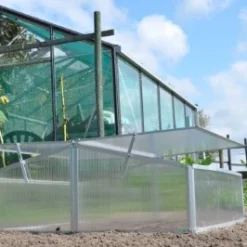 Royal Well Broeikas Silver Thyme -Exporteren Tuin Genoegen Winkel 8718226338082 4 Aangepast