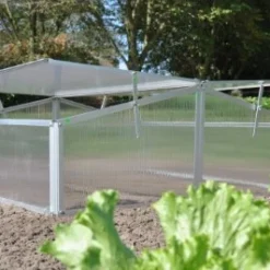 Royal Well Broeikas Silver Thyme -Exporteren Tuin Genoegen Winkel 8718226338082 5 Aangepast