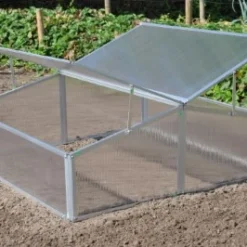 Royal Well Broeikas Silver Thyme -Exporteren Tuin Genoegen Winkel 8718226338082 6 Aangepast