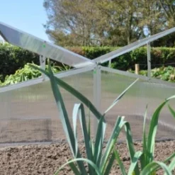 Royal Well Broeikas Silver Thyme -Exporteren Tuin Genoegen Winkel 8718226338082 7 Aangepast