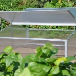 Royal Well Broeikas Silver Thyme -Exporteren Tuin Genoegen Winkel 8718226338082 8 Aangepast