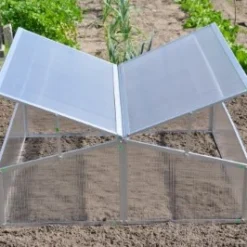 Royal Well Broeikas Silver Thyme -Exporteren Tuin Genoegen Winkel 8718226338082 9 Aangepast