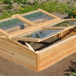 Royal Well Broeikas Chili Pepper -Exporteren Tuin Genoegen Winkel 8718226338280 3 Aangepast