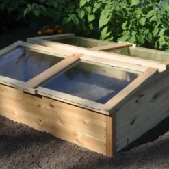 Royal Well Broeikas Chili Pepper -Exporteren Tuin Genoegen Winkel 8718226338280 8 Aangepast