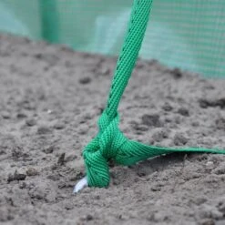 Royal Well Ankerset 12 Royal Well Ankerset -Exporteren Tuin Genoegen Winkel 8718226338327 6